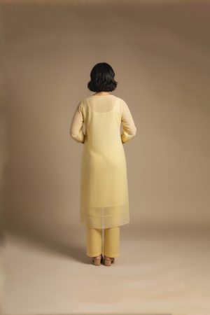 “Woman wearing a soft yellow knee-length dress with sheer long sleeves, subtle embroidery, and a relaxed fit, standing against a beige background and smiling.”