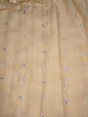 “Woman wearing a peach Kota embroidered kurta set with gold lace border and sheer full sleeves, standing against a beige background.”